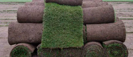Garden Turf